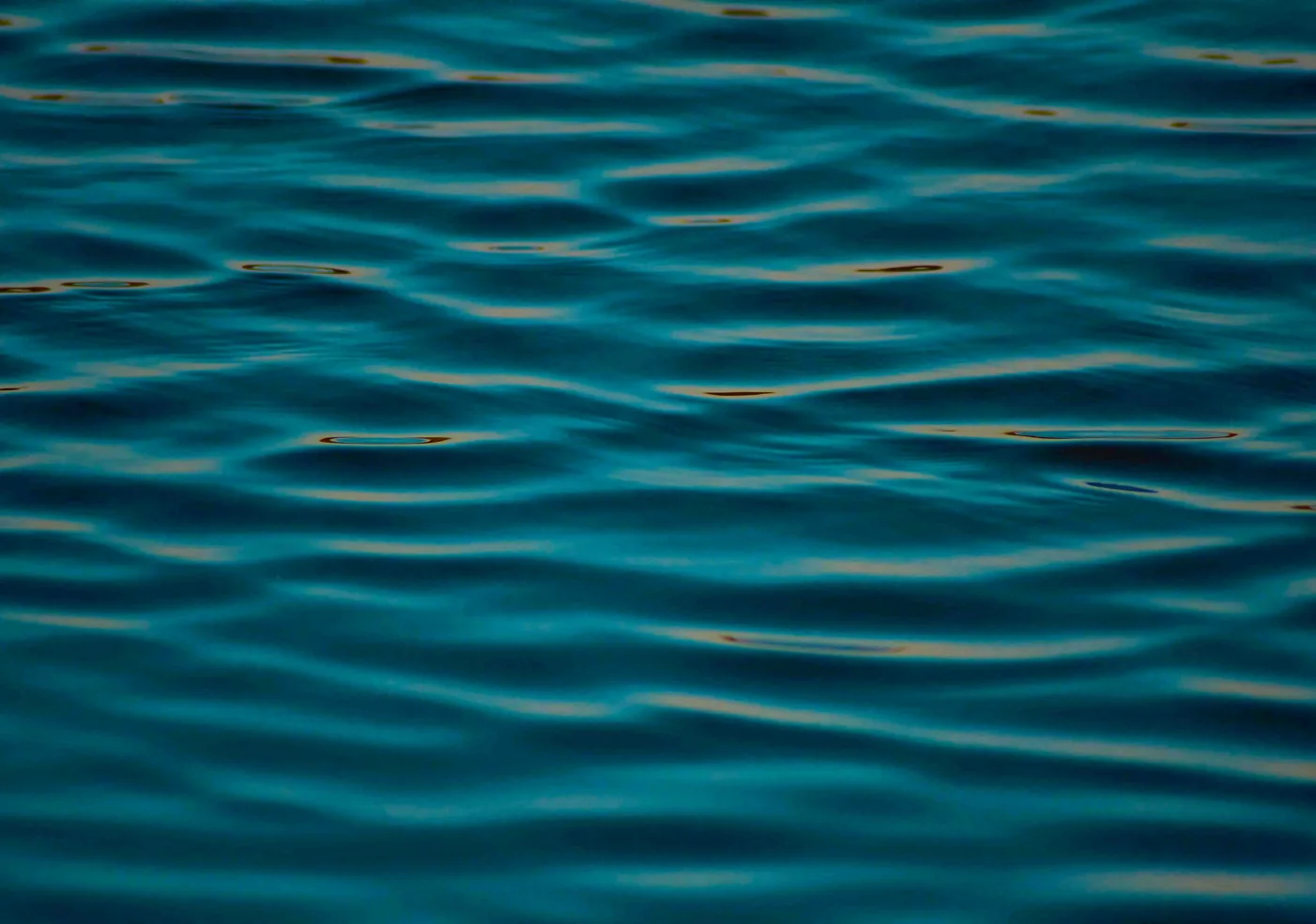 Felicita — photo 3 location yacht Monaco