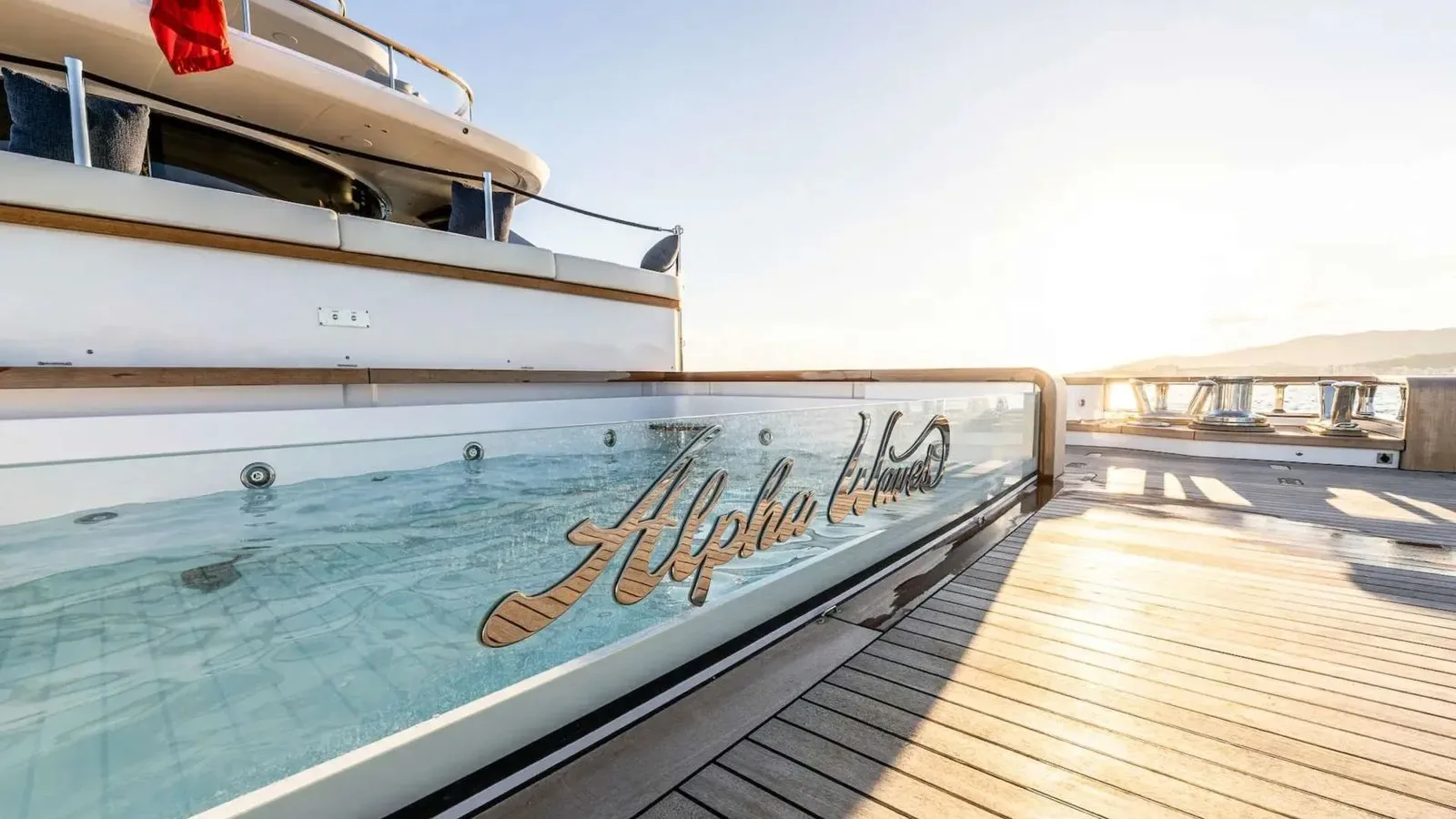 ALPHA WAVES - photo 10 yacht charter Monaco